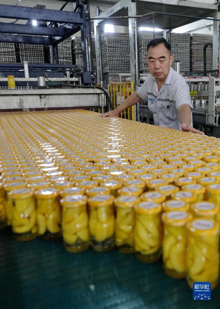 日结佣金全讯平台